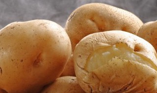 土豆的繁殖方式是出芽生殖吗 土豆出芽是什么生殖