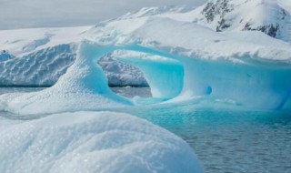 南极浮冰的味道是什么味的（南极的冰是咸的还是淡的）