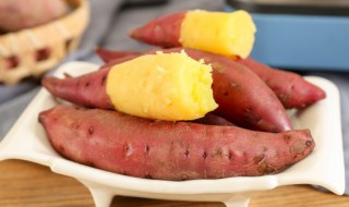 立夏还能种红薯吗 夏天能种红薯吗