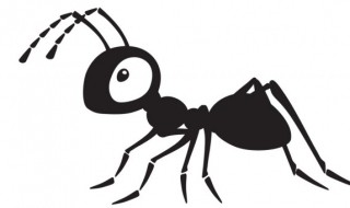 家里有飞蚂蚁怎么除根 家里有飞蚂蚁怎么办能除根