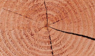 木制品怎样防止开裂 木制品怎么防止开裂