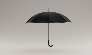 遮阳伞可以当雨伞用吗 雨伞可以用来遮阳吗