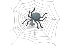 蜘蛛在家里怎么处理 黑色大蜘蛛在家里怎么处理