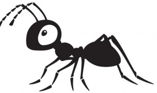 家里蚂蚁多怎么办 家里蚂蚁多怎么办不用药