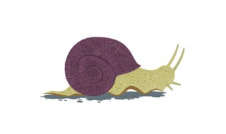 为什么蜗牛爬得慢 为什么蜗牛爬得慢简写