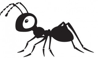 蚂蚁为什么是大力士（蚂蚁大力士是什么意思）