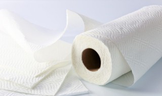 卫生纸是什么材料做的 卫生纸是什么材料做成的