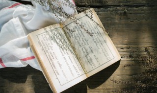 红楼梦告诉我们什么道理100字 红楼梦告诉我们什么道理