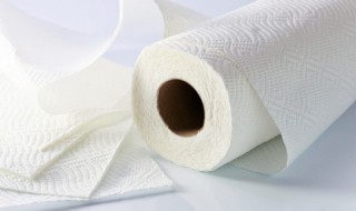 卫生纸用什么材料做的 卫生纸是用啥做成的