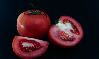 番茄种子怎么种植方法（番茄种子怎么种植方法视频）