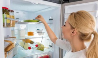 电冰箱保鲜室温度怎么调（电冰箱保鲜室温度调到多少?才是最佳）