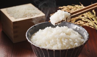 没吃完的米饭怎么保存 晚上没吃完的米饭怎么保存
