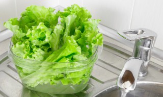 生菜放冰箱可以放几天 洗过的生菜放冰箱可以放几天