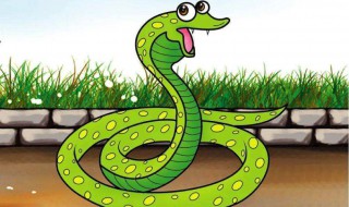 水蛇是保护动物吗（水律蛇是国家保护动物吗）