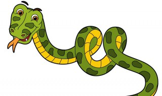 蟒蛇是保护动物吗 蟒蛇是保护动物吗?
