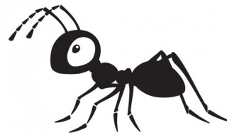 家里有小红蚂蚁的原因 家里怎么会有小红蚂蚁