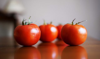 西红柿种子催芽方法（西红柿种子催芽方法五种方法）