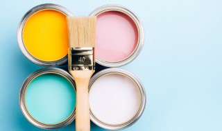 怎么去除油漆味最有效 怎样除油漆味最有效