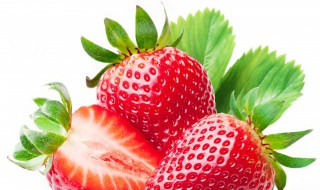 野草莓如何养好 草莓怎样养活