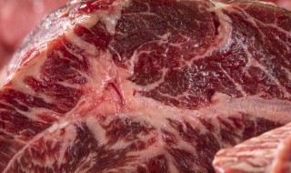 牛肉和包肉是哪个部位 牛肉包子用哪个部位的肉