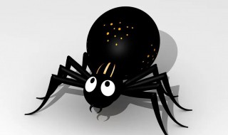 如何养好一只黑色蜘蛛有毒吗（无毒好养的蜘蛛）