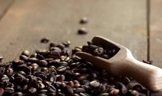 刚烘焙好的咖啡豆如何养 咖啡豆要怎么养