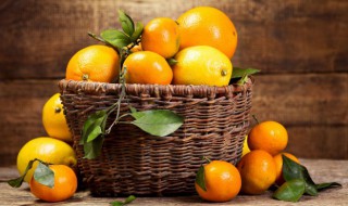 如何养好一棵橘子树（橘子树怎么栽植比较好）
