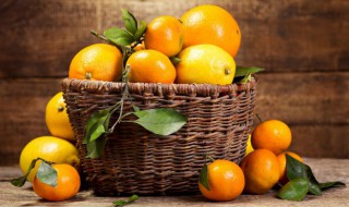 如何种植好盆栽橘子（盆栽橘子的养殖方法）