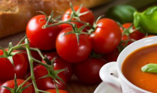 阳台种大番茄怎么种植 阳台番茄的种植方法