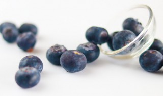 蓝莓树盆栽苗买回来怎么种 买的蓝莓树苗怎么种植
