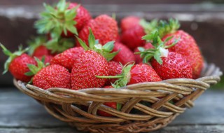 水培草莓方法 水培草莓的方法