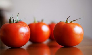 阳台种西红柿种植方法（阳台西红柿怎么种植和管理）