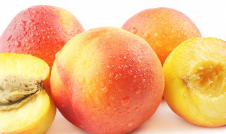 油桃是什么季节的水果 油桃是什么季节的水果?