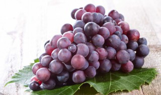 青海如何种好葡萄盆栽 青海可以种葡萄吗?