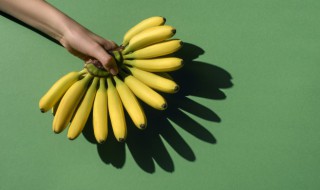 香蕉树是怎么种出来的 香蕉能种出香蕉树吗