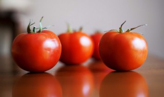 阳台种西红柿要授粉吗 在家种西红柿需要授粉吗