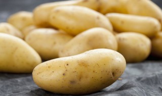 土豆是怎么种植的 土豆该怎么种植