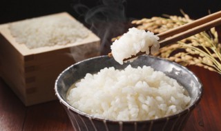 米饭蒸软了怎么补救 米饭蒸软了怎么补救还可以做什么?