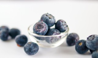 如何种好蓝莓桑葚的种植技术 蓝莓树栽培技术