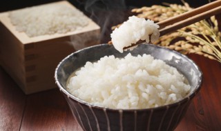 剩的米饭怎么保存（大米饭剩了怎么保存）