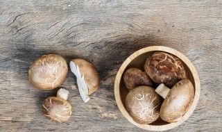 排骨香菇怎么做好吃 排骨香菇的做法大全窍门