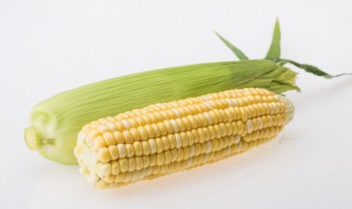 如何防止玉米缺粒（玉米缺粒的原因和补救方法）