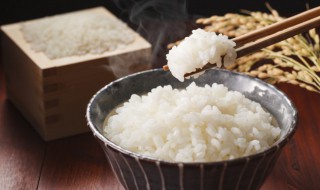 蒸大米饭的做法（砂锅蒸大米饭的做法）
