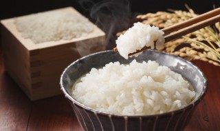 蒸米饭做法 电饭锅蒸米饭做法