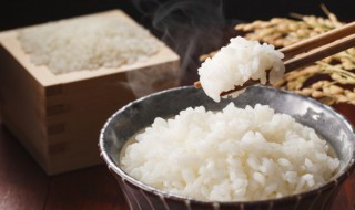 微波炉可以煮米饭吗 微波炉可以煮米饭吗怎么煮?