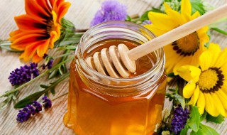 常见蜂蜜的保存方法 蜂蜜保存法怎样保存法