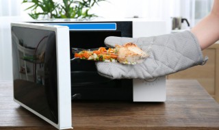 透明保温饭盒可以放微波炉吗（微波炉可以热保温饭盒的东西吗）