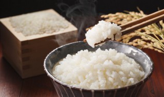 电饭煲蒸大米饭的做法 电饭煲怎样蒸大米饭好吃