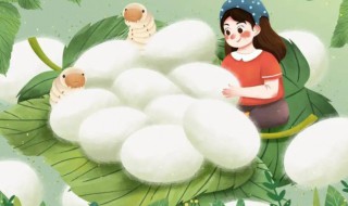 保存蚕卵的方法 保存蚕卵的方法是什么