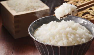 米饭保存方法 米饭的保鲜方法